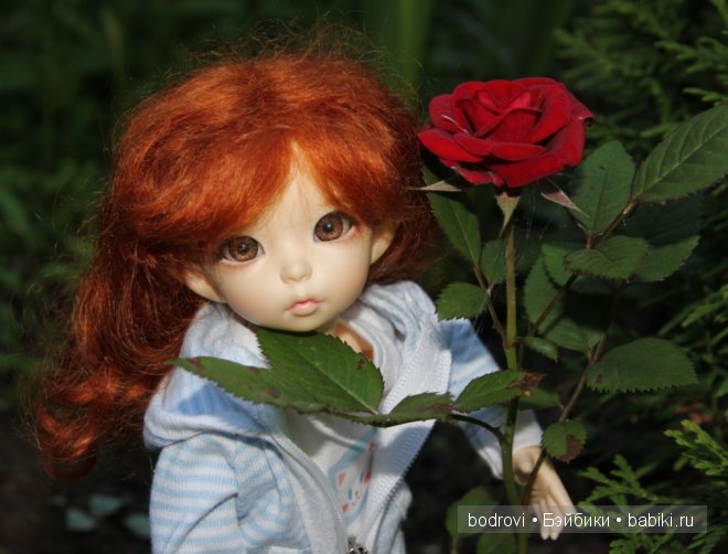 БЖД,LittleFee Ante Elf,DongDong DollZone,Pupu,Soso