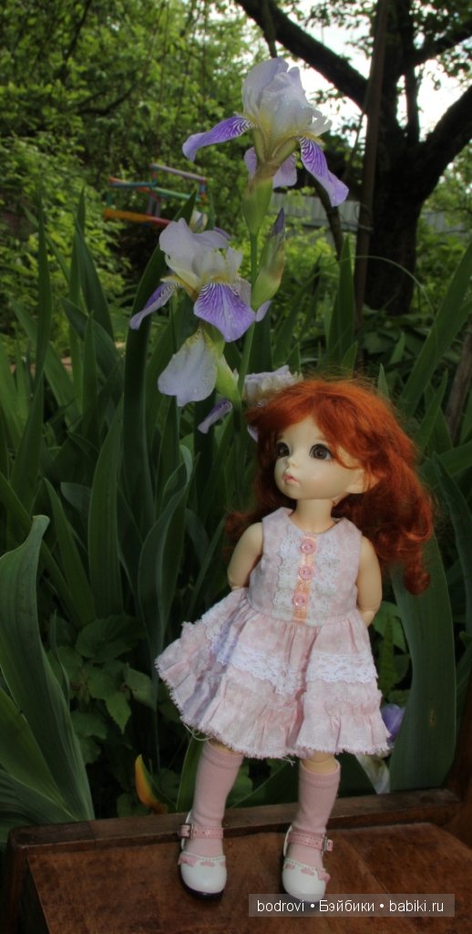 БЖД,LittleFee Ante Elf,DongDong DollZone,Pupu,Soso