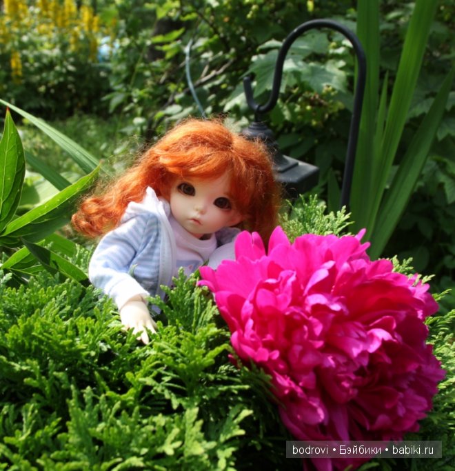 Про цветы — Куклы Fairyland (ФэйриЛэнд): BJD (БЖД)