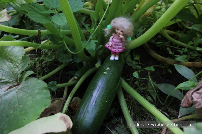 Гуляем. Realpuki Soso, Pupu, DongDong DollZone (фото 3)