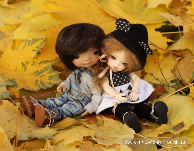 Золотая осень — Коллекции кукол BJD (БЖД): фото витрин (фото 9)