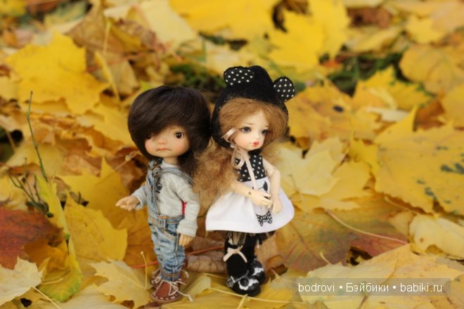 Золотая осень — Коллекции кукол BJD (БЖД): фото витрин (фото 6)