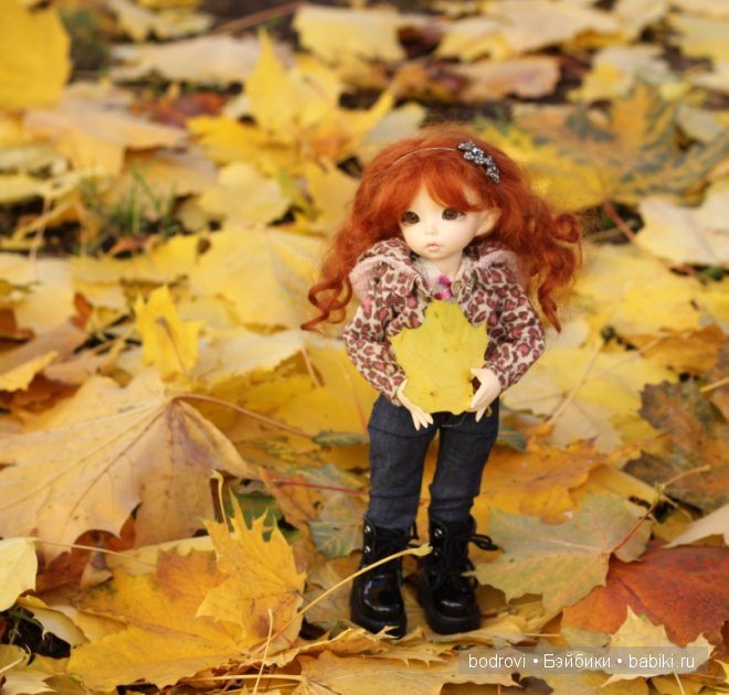 Золотая осень — Коллекции кукол BJD (БЖД): фото витрин
