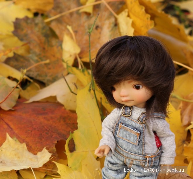 Золотая осень — Коллекции кукол BJD (БЖД): фото витрин (фото 2)