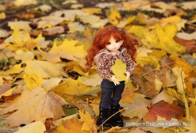 Золотая осень — Коллекции кукол BJD (БЖД): фото витрин (фото 4)