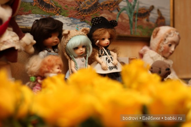 Золотая осень — Коллекции кукол BJD (БЖД): фото витрин