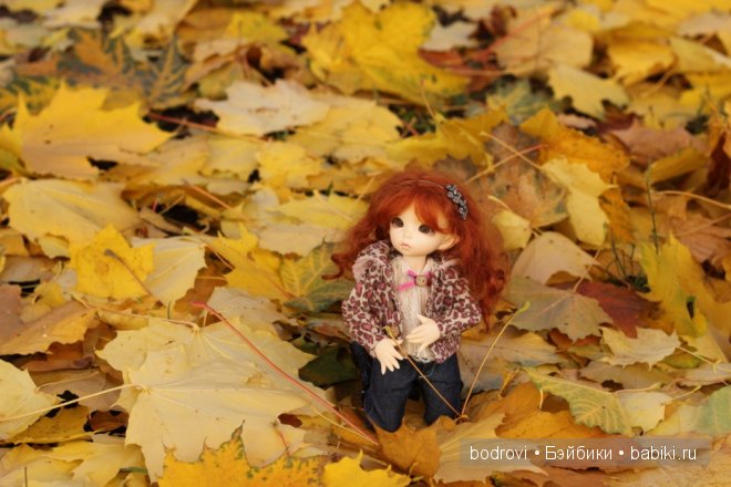 Золотая осень — Коллекции кукол BJD (БЖД): фото витрин (фото 5)