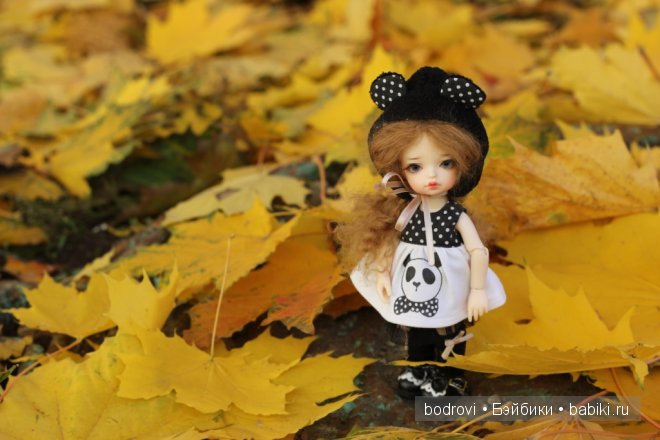 Золотая осень — Коллекции кукол BJD (БЖД): фото витрин