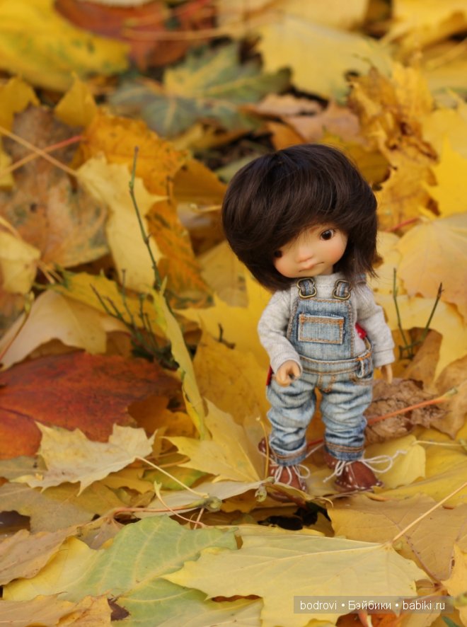 Золотая осень — Коллекции кукол BJD (БЖД): фото витрин (фото 3)