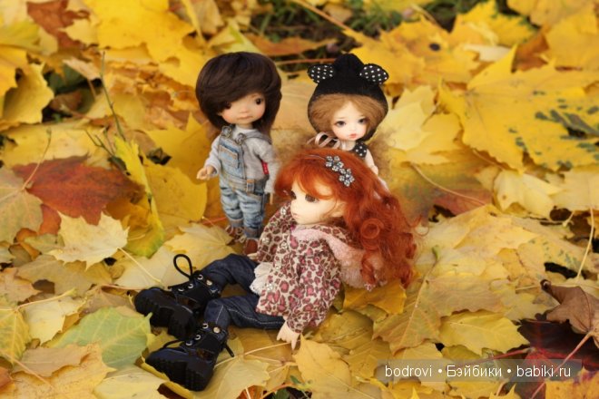 Золотая осень — Коллекции кукол BJD (БЖД): фото витрин (фото 8)