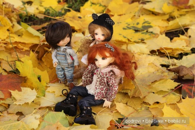 Золотая осень — Коллекции кукол BJD (БЖД): фото витрин (фото 7)