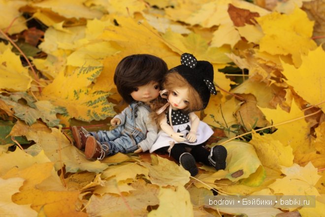 Золотая осень — Коллекции кукол BJD (БЖД): фото витрин (фото 10)