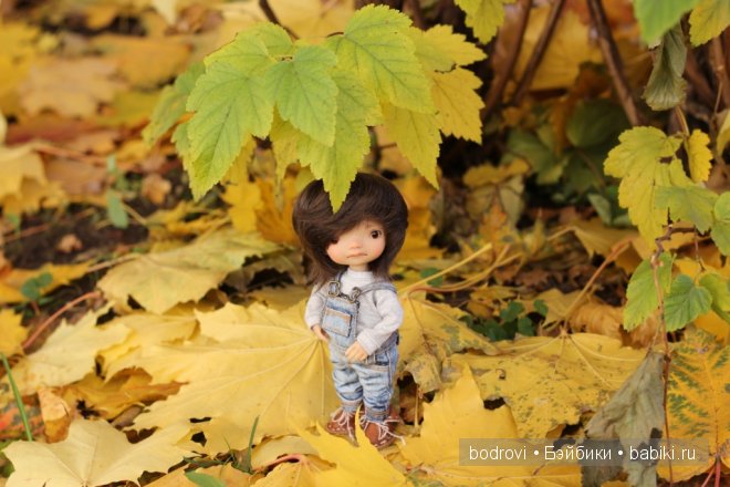 Золотая осень — Коллекции кукол BJD (БЖД): фото витрин