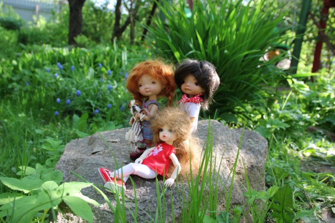 Божья Коровка DongDong DollZone,Irrealdoll Enyo,Irrealdoll Dryo