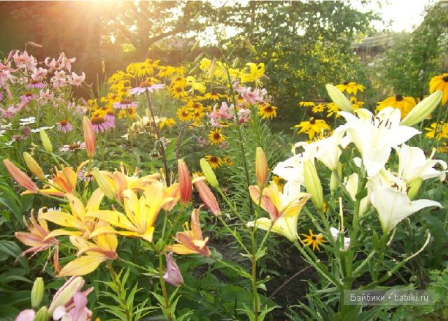 "Звезда Подиума" Маргарита"