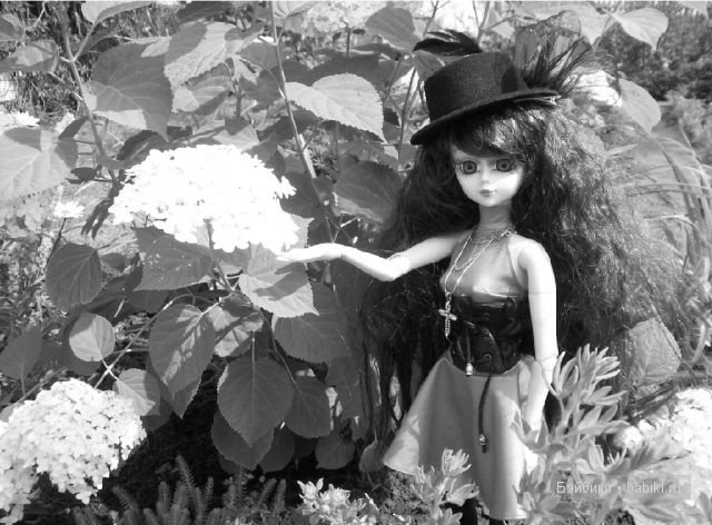 "Звезда Подиума" Маргарита"