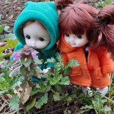 Маргоша и Ляля на прогулке