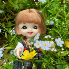 Баболи, новые фото