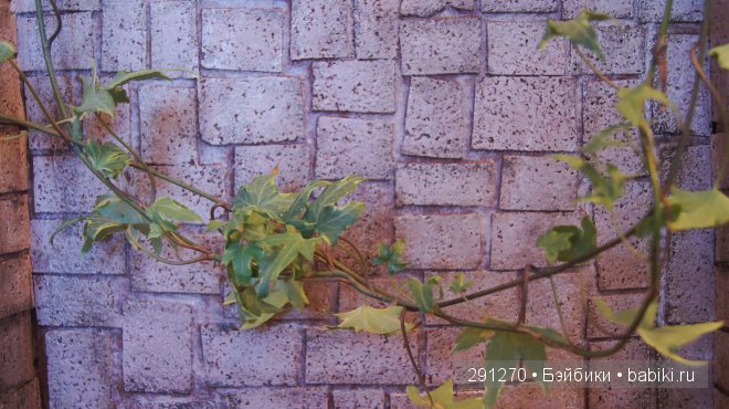 Фон для фотографирования кукол и игрушек своими руками. Мастер-класс