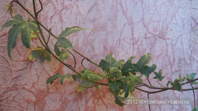 Фон для фотографирования кукол и игрушек своими руками. Мастер-класс