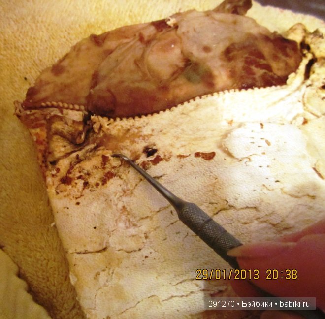 История одной антикварной куклы . Armand Marseille, 370 молд . часть 2 (фото 2)