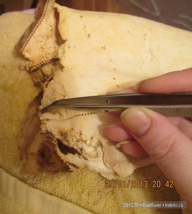 История одной антикварной куклы . Armand Marseille, 370 молд . часть 2 (фото 3)