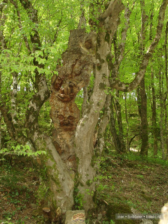 Крым. Поляна сказок — Туризм и путешествия: фотоотчеты из поездок