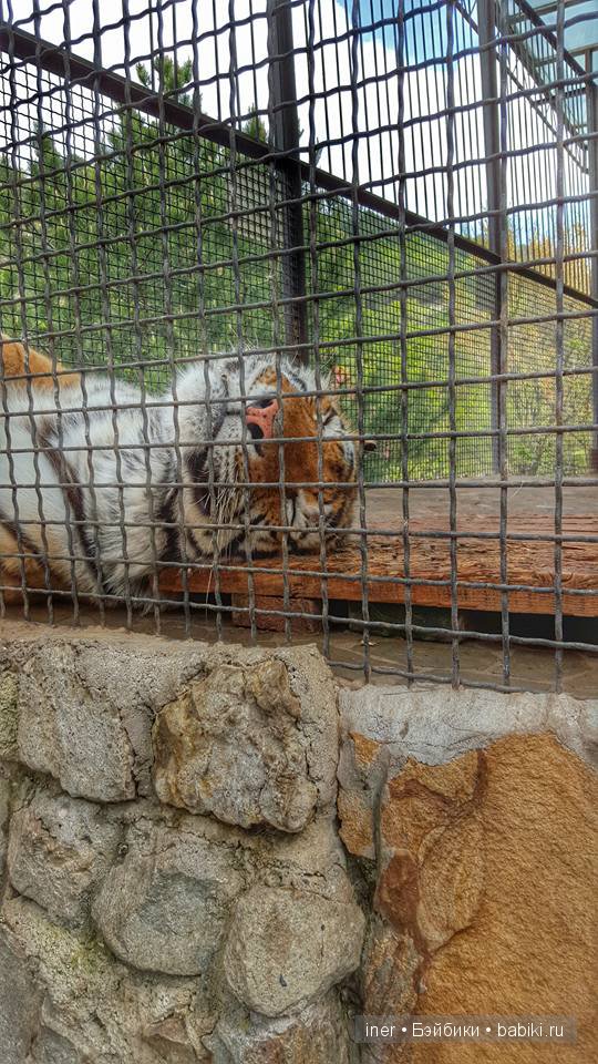 Крым. Поляна сказок — Туризм и путешествия: фотоотчеты из поездок