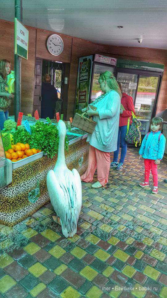 Крым. Поляна сказок — Туризм и путешествия: фотоотчеты из поездок