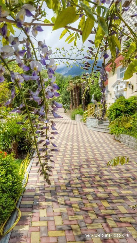 Крым. Поляна сказок — Туризм и путешествия: фотоотчеты из поездок