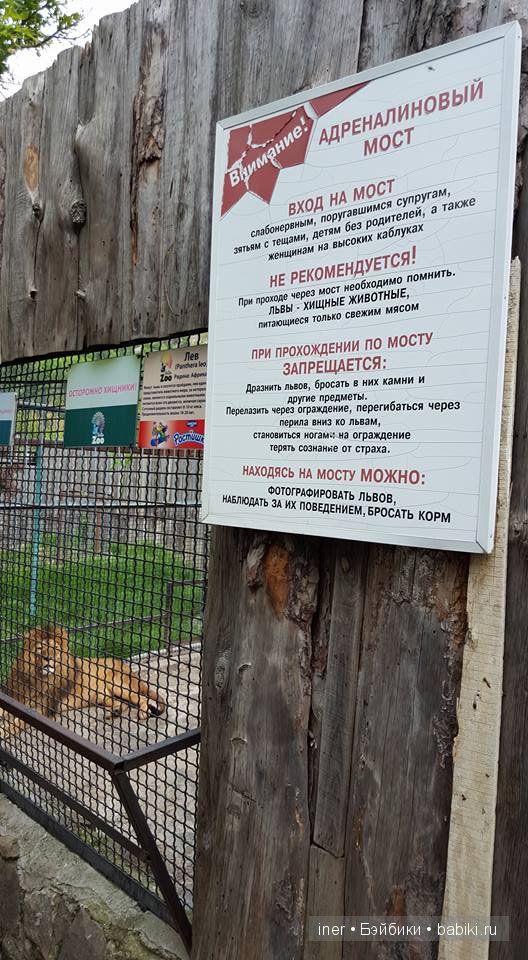 Крым. Поляна сказок — Туризм и путешествия: фотоотчеты из поездок