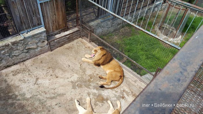 Крым. Поляна сказок — Туризм и путешествия: фотоотчеты из поездок