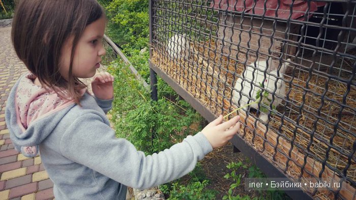 Крым. Поляна сказок — Туризм и путешествия: фотоотчеты из поездок