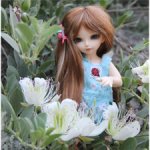 Крымская история Мелиссы