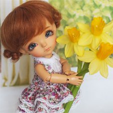 Моя компания Латишек, Latidoll