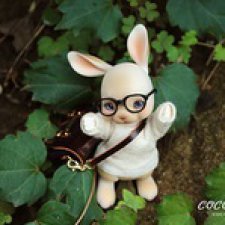 Коллективный заказ на Cocoriang