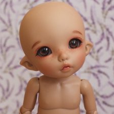 Fairyland дали тан на пукифи на время летнего ивента