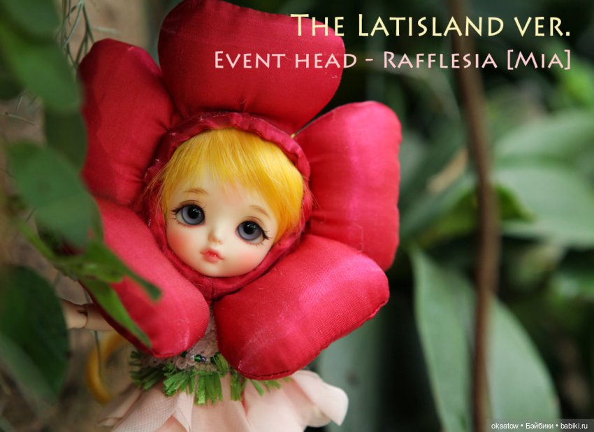 Новый релиз от Latidoll - “The Latisland”