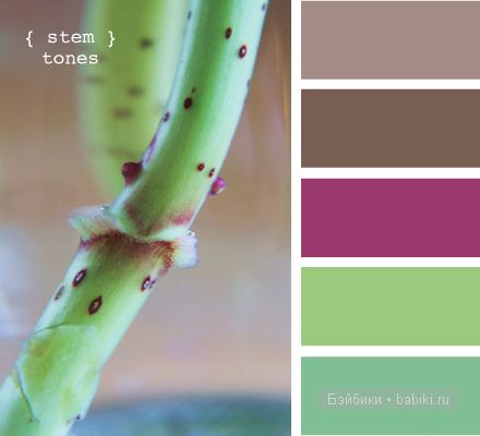 Мастерская Ольги Гадач