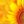 Littlesun