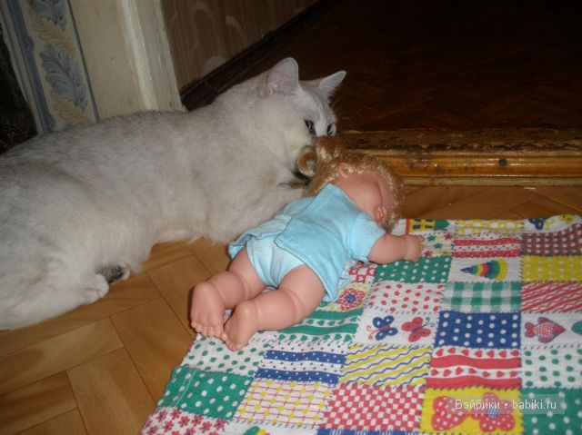 Хулиганка света — Игровые куклы разных производителей (Разное): редкие бренды (фото 5)