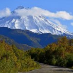 Камчадалы! Отзовитесь!!!