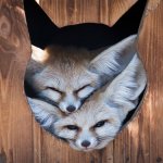 Жди меня и я вернусь, только очень жди. Чудо? Или Почта России исправляется?!