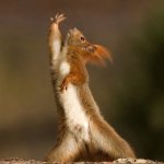 Крик души! ЕМS