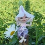 Так где же, все таки, живут Реалики?