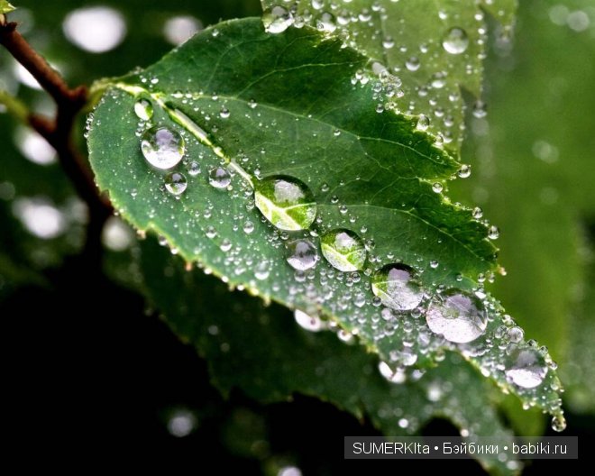 Тея и ее лето — Куклы Resinsoul (Резинсоул) и Bobobie: BJD (БЖД)