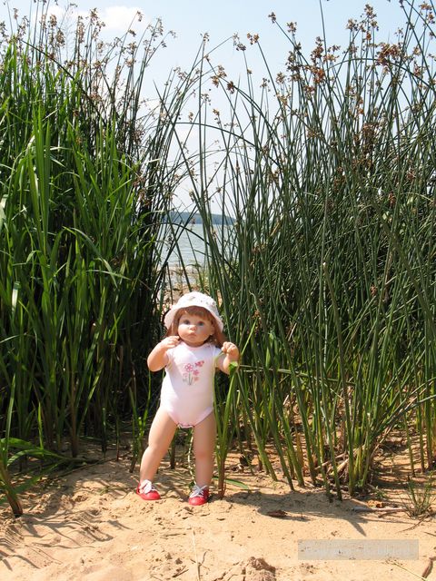 Как провели лето мои Миддлтошки. Куклы Lee Middleton