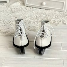 Коньки для Паола Рейна