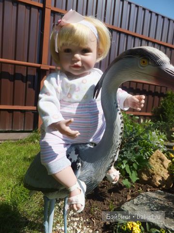 Ангелика на птице