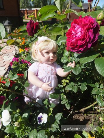 Ангелика  и большая роза